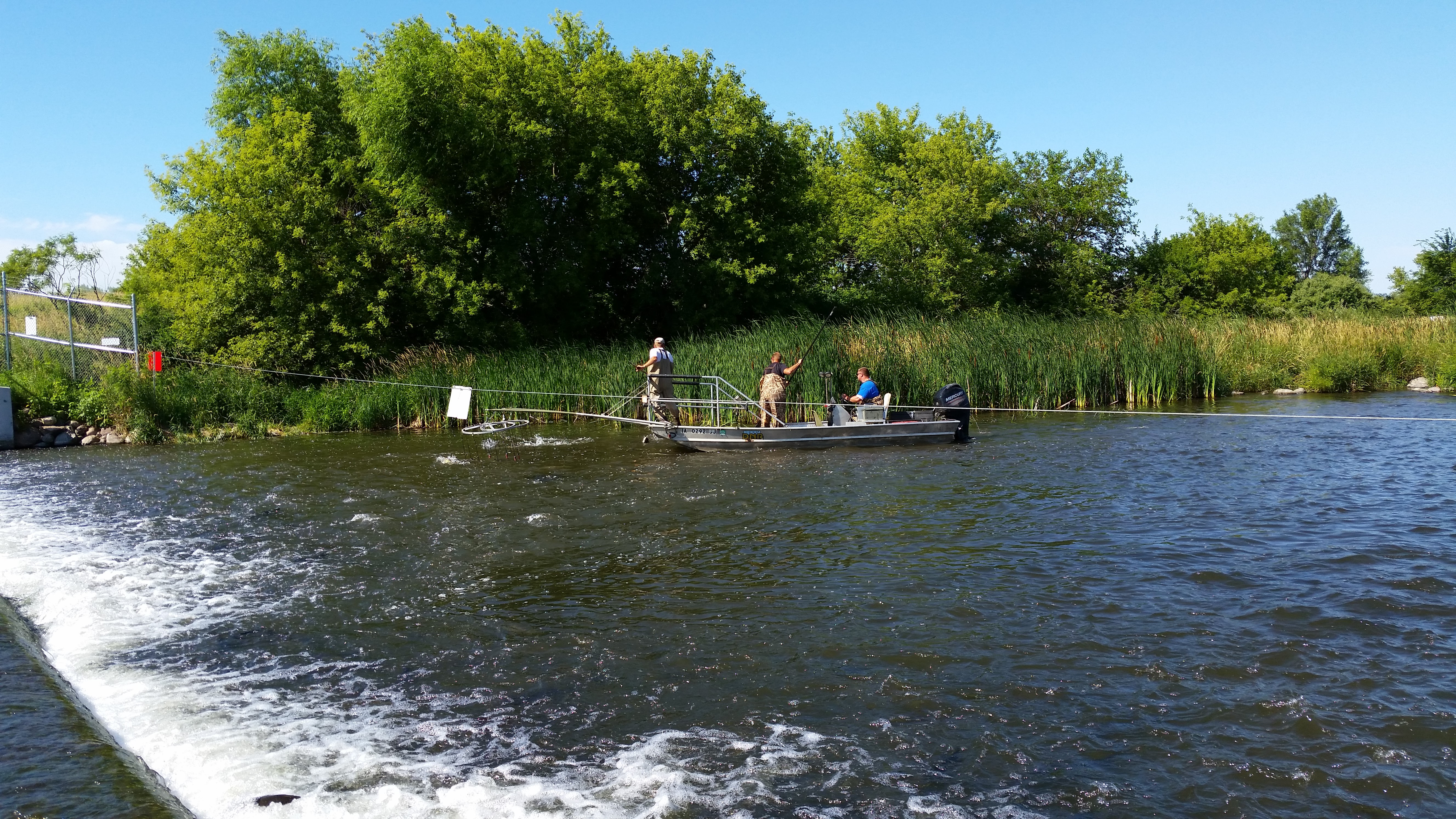 DNR fisheries staff sampling for walleye and muskellunge in the Iowa Great Lakes.